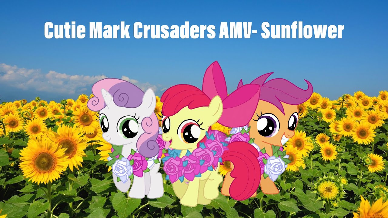 Cutie Mark Crusaders AMV-Sunflower