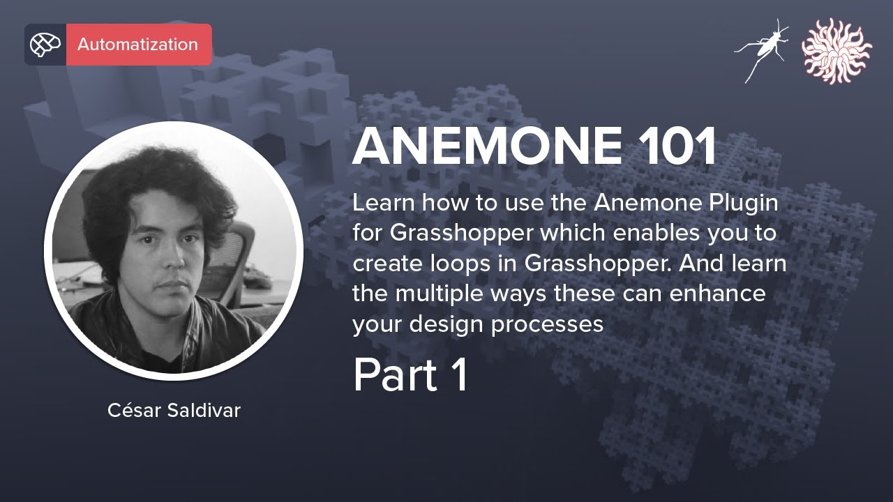 Anemone 101 - Part 1