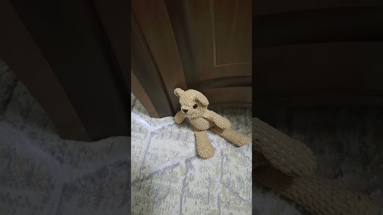 подписка пж