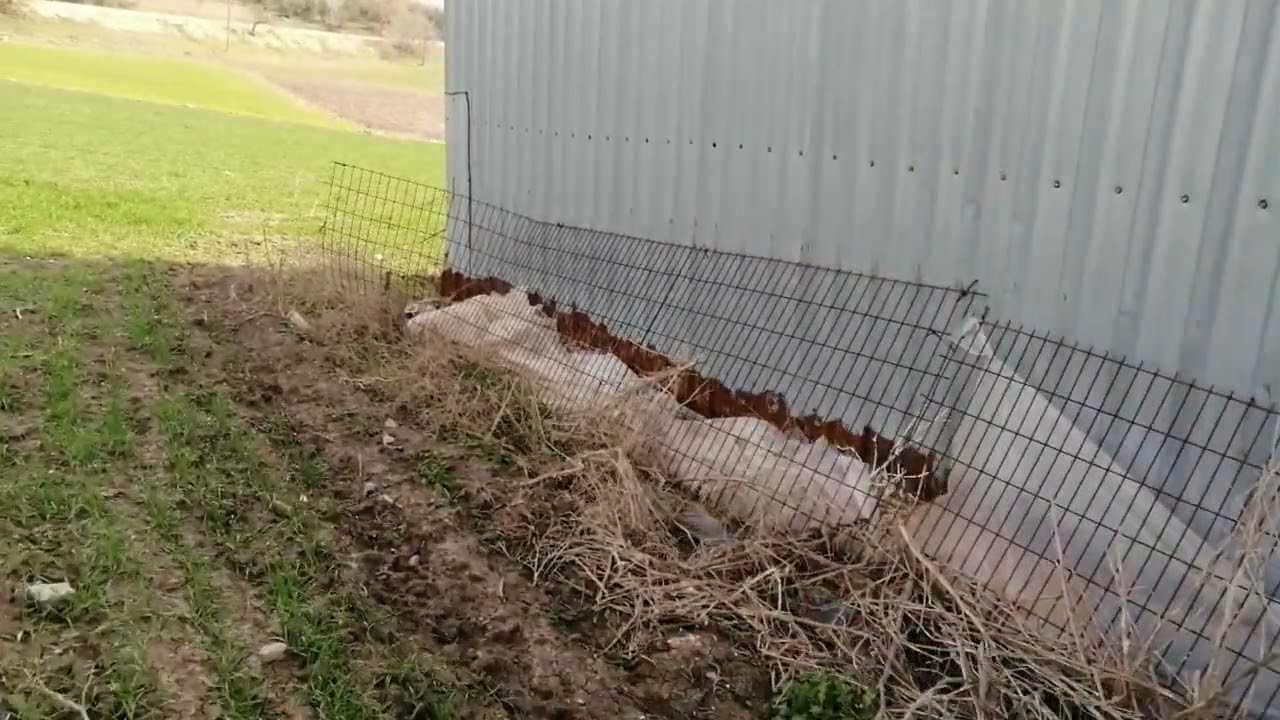 184.Gönen'e 18 KM Mesafede Kiralık Çiftlik