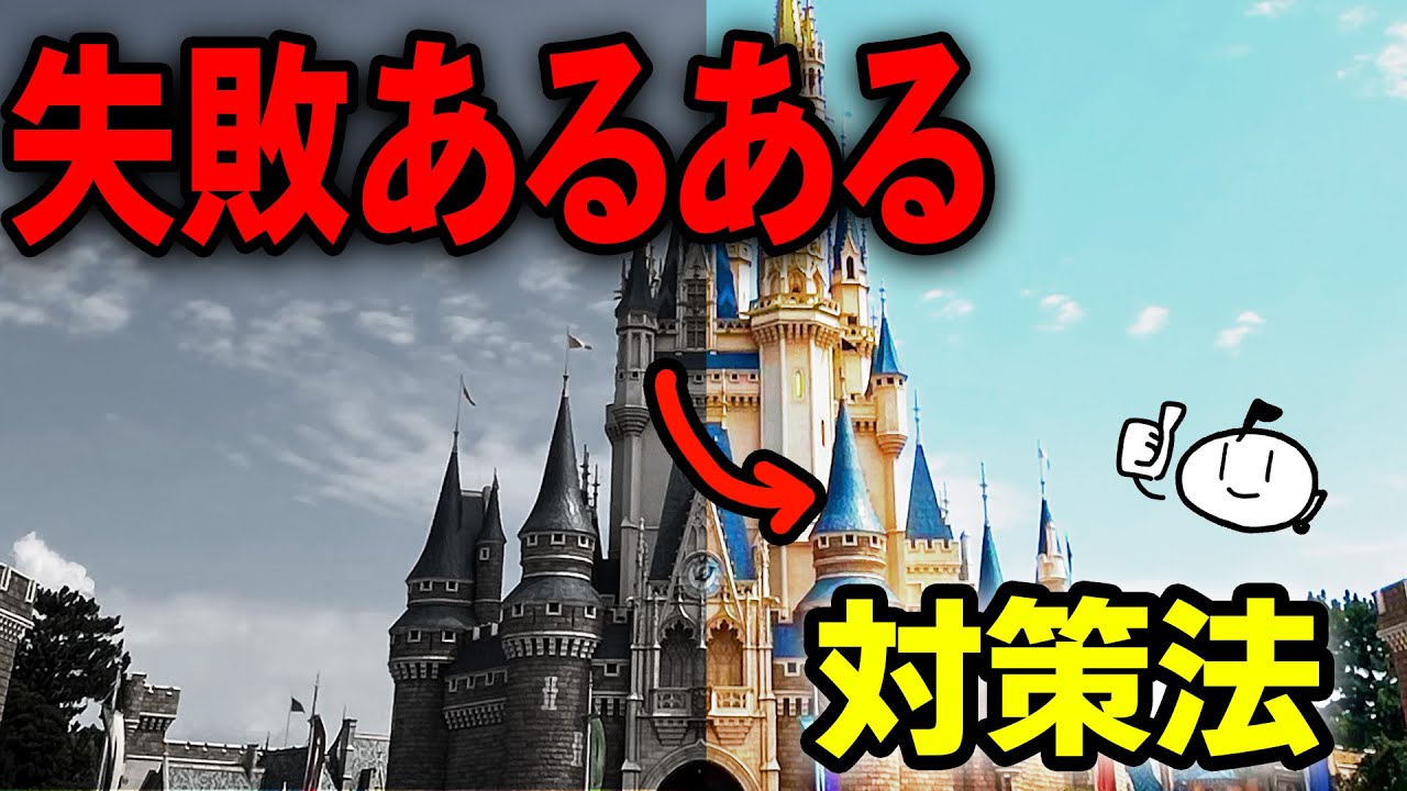 【解説】ディズニーの失敗談を集めたら要注意ポイントが分かりました。対策方法も紹介