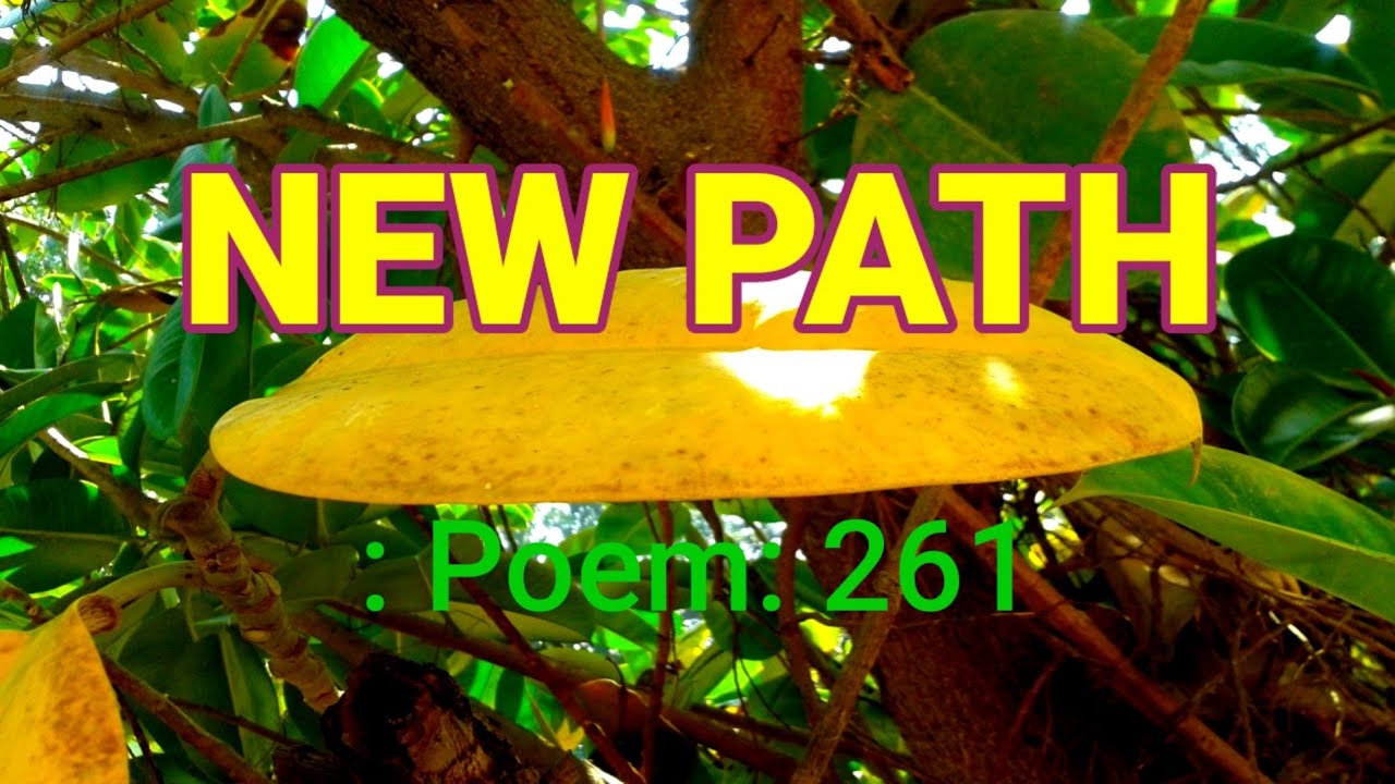 NEW PATH: Poem: 261