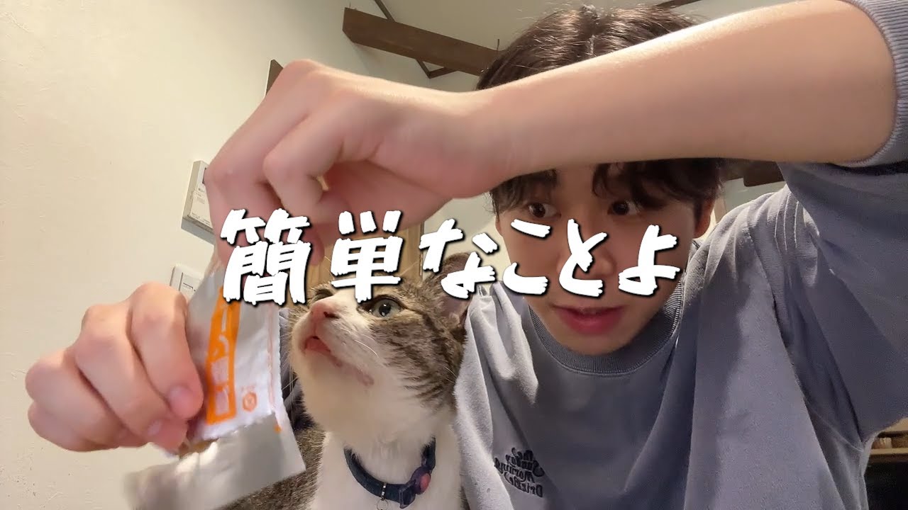 結局、恋愛っていうのはさ