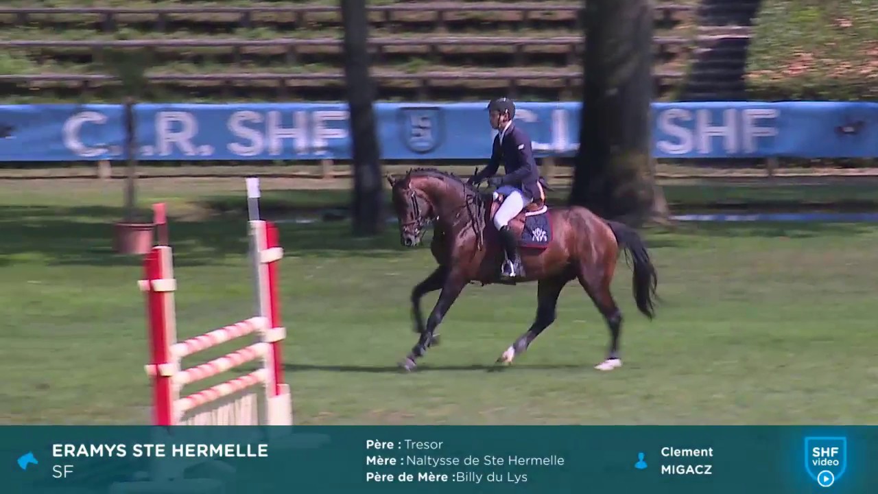 CIR SHF 2018 - CSO Compiègne 4 ans - Eramys Ste Hermelle