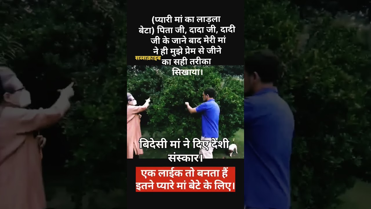 Rahul Gandhi and his mother, Sonia Gandhi, picking fruit from trees in the garden. A delightful sigh