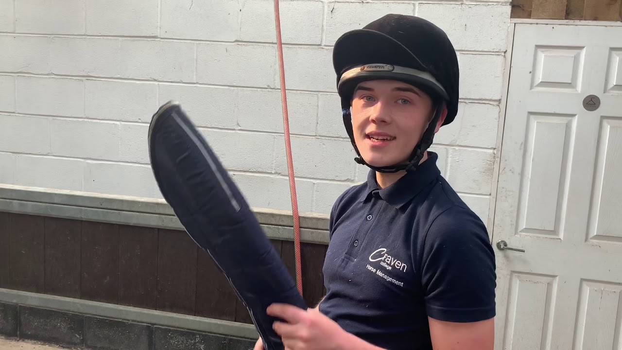Craven college- how to prepare a horse for travel