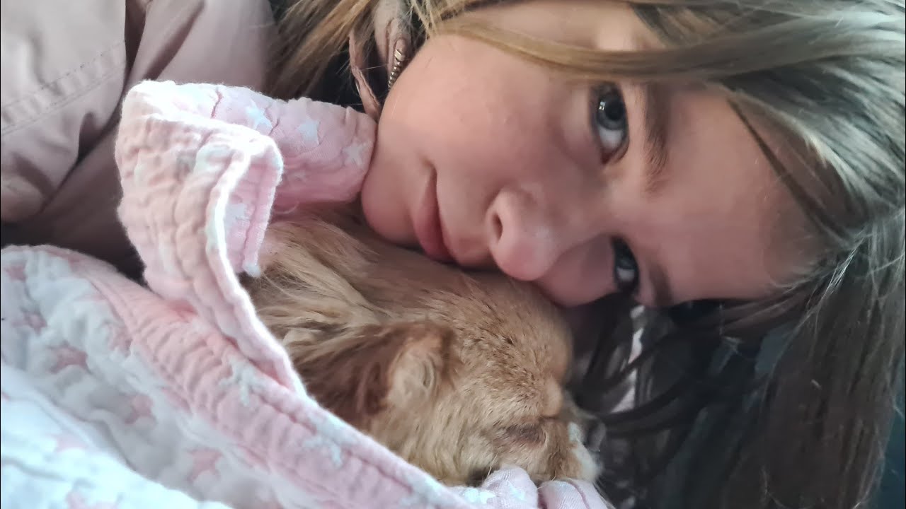 Henter Karla hos DYRLÆGEN🐶NADIA HAR ONDT I HJERTET 😳