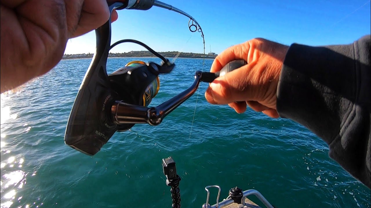 Fishing Trip That Got Big Surprises! Catch N Cook