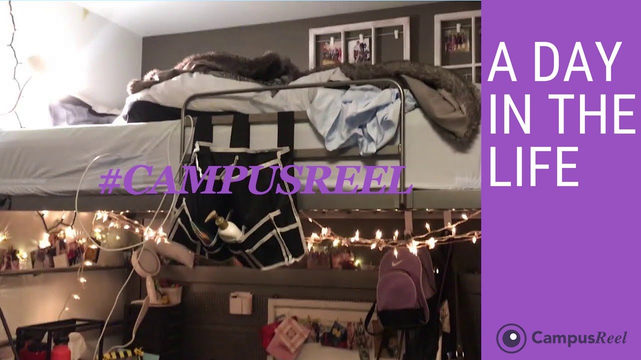College Dorm Room Tour University of Washington Seattle Campus