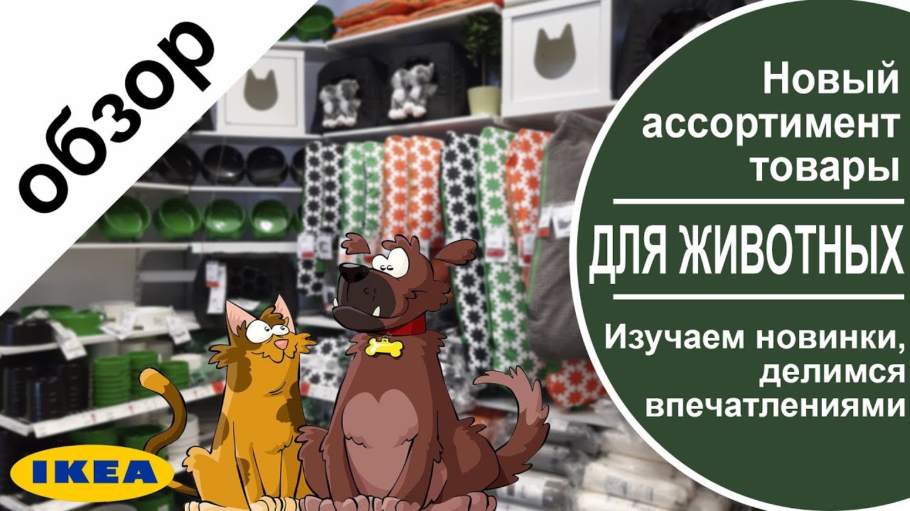 ЛУРВИГ. Товары для животных ИКЕА. Смотрим новый ассортимент.Делимся впечатлениями. lurvig ikea
