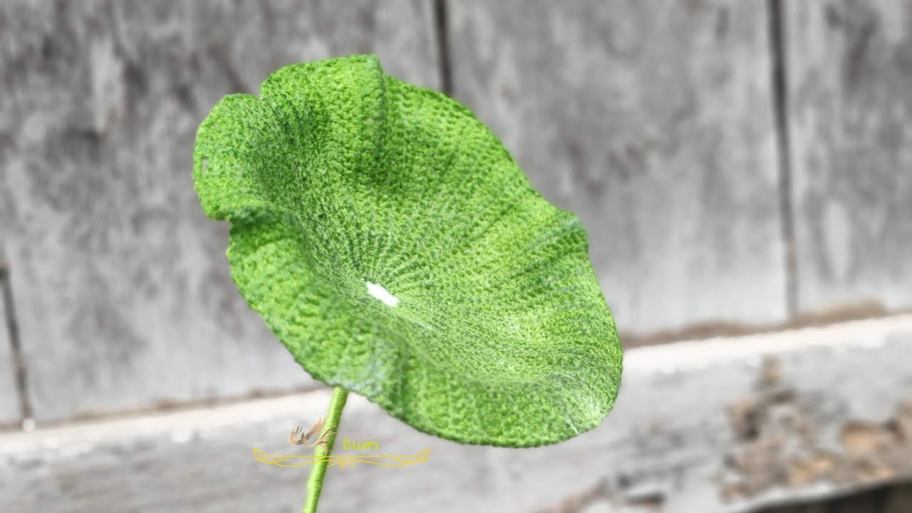 วิธีถักใบบัวโครเชต์ Lotus leaf.