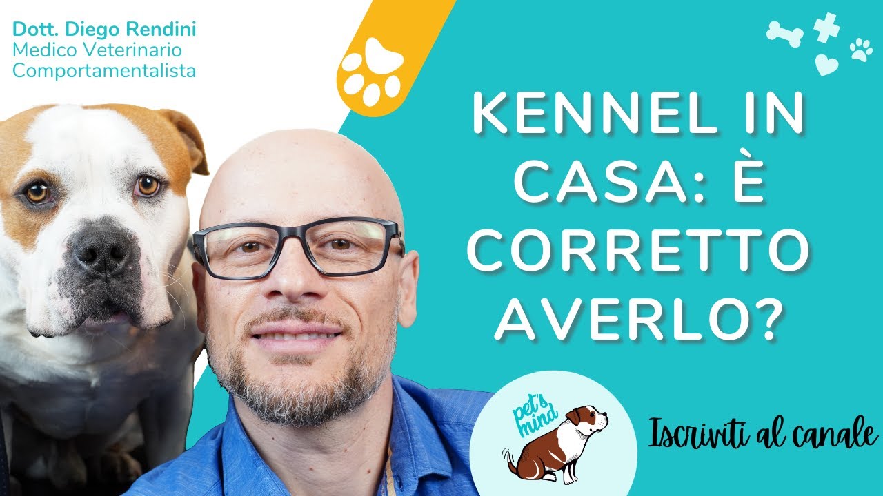 È corretto avere un kennel in casa per il proprio cane?