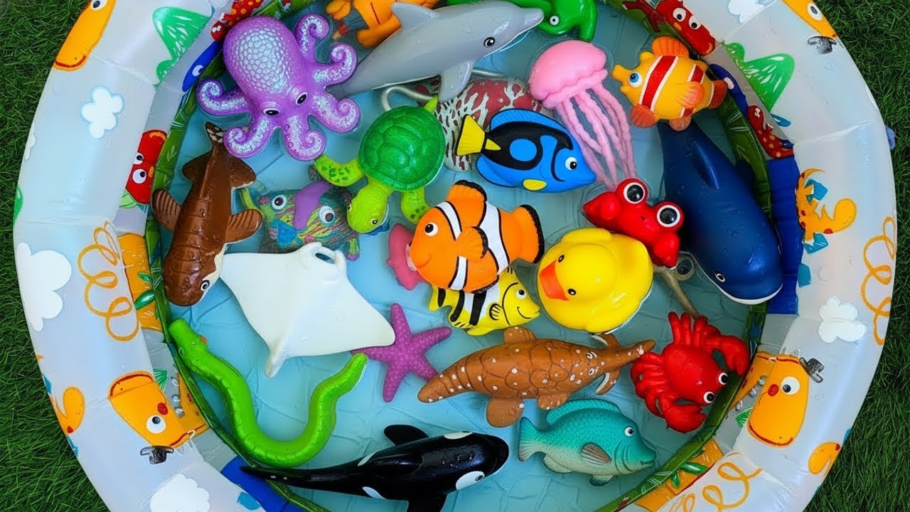 Ocean Animals for Kids | Learn Sea Creature Names & Fun Facts with Marine Animal Toys