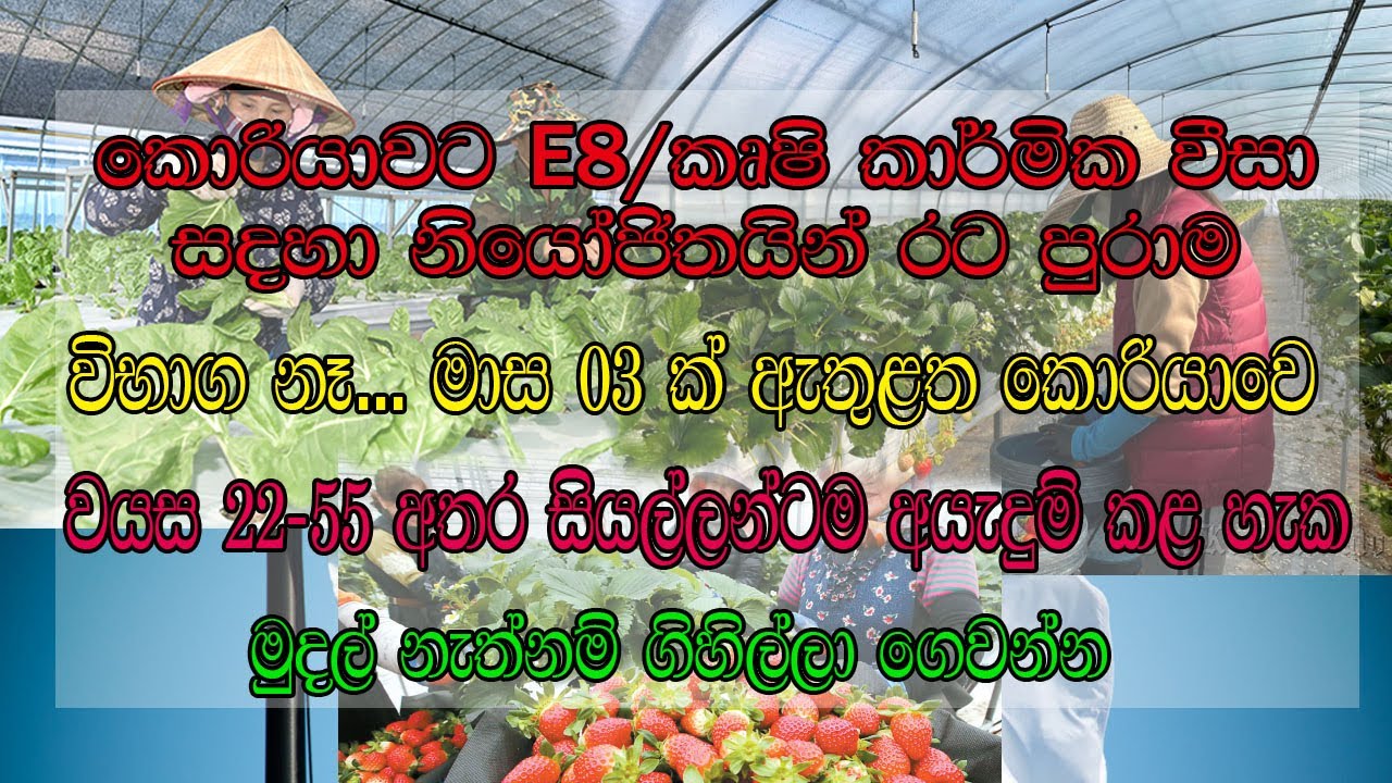 E8 වීසා/කෘෂිකාර්මික  වීසා ගැන  ඔබත් දැනුවත්ද?