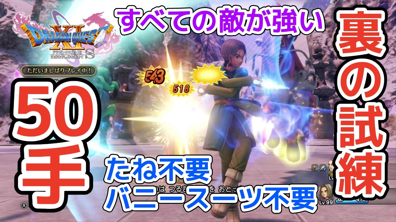 【DQ11S】すべての敵が強い 裏の試練 50手クリア バニースーツ・種ドーピングなし ドゥルダ 連武討魔行【ドラクエ11S】
