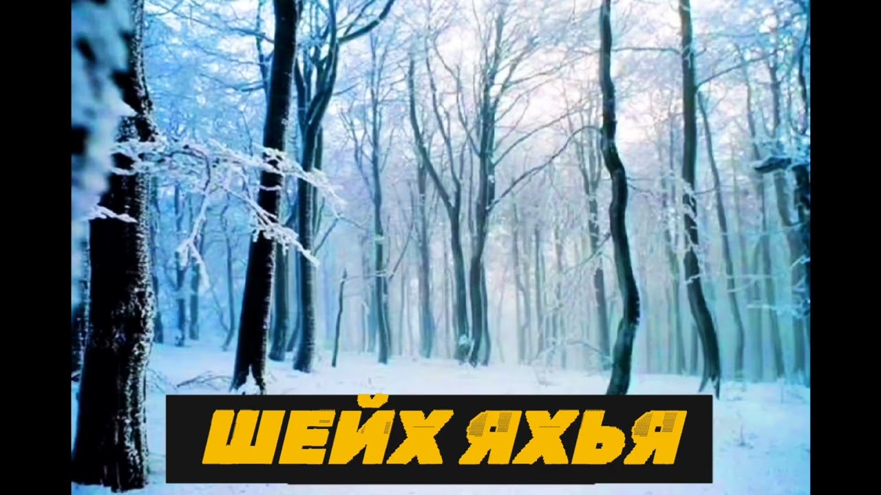 Шейх Яхья | Суна чlогlа дага йиара, Сникерс )