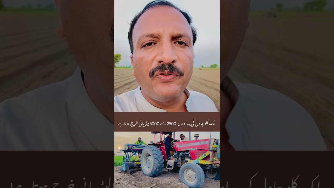 Direct Seeding of Rice in Pakistan