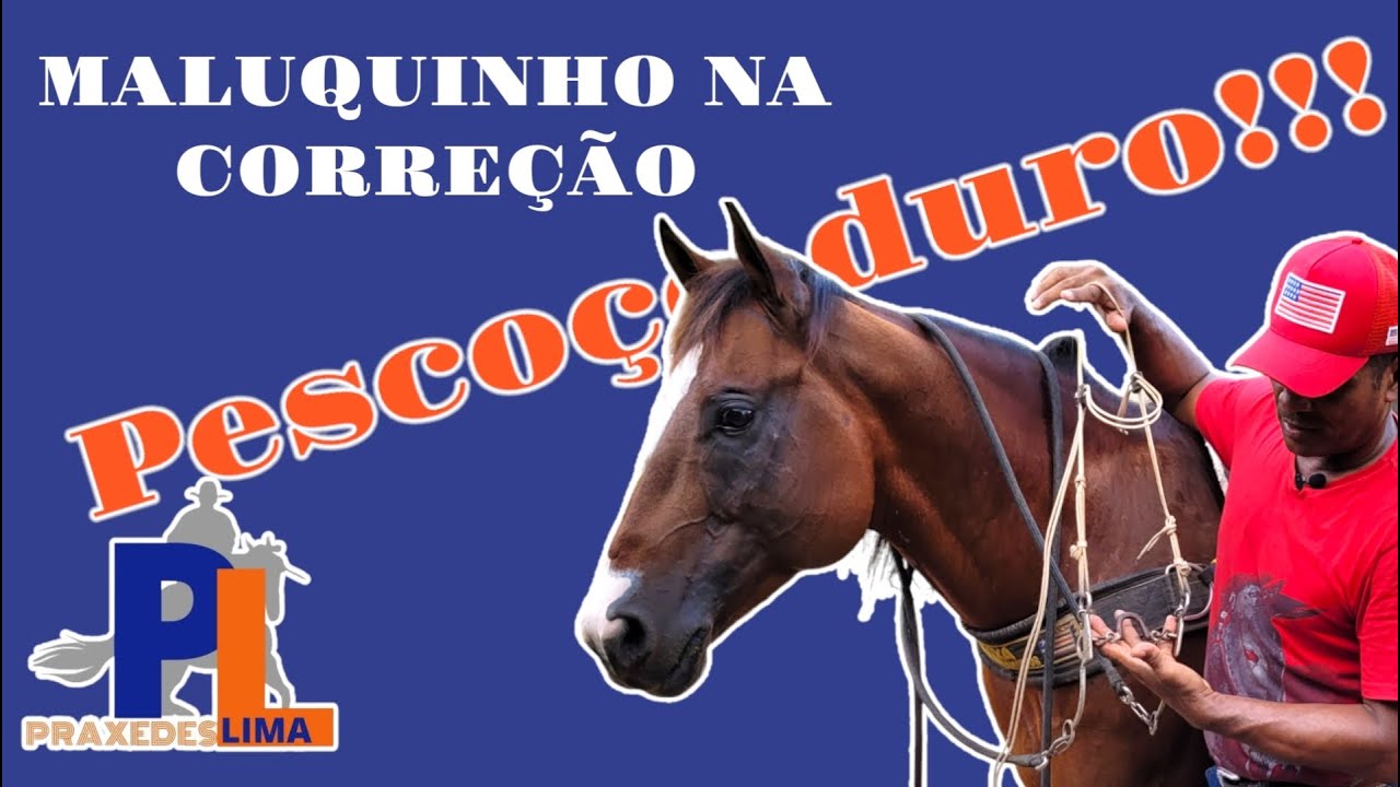COMO CORRIGIR CAVALO QUE TEM O PESCOÇO DURO E NAO VIRA PRA OS LADOS