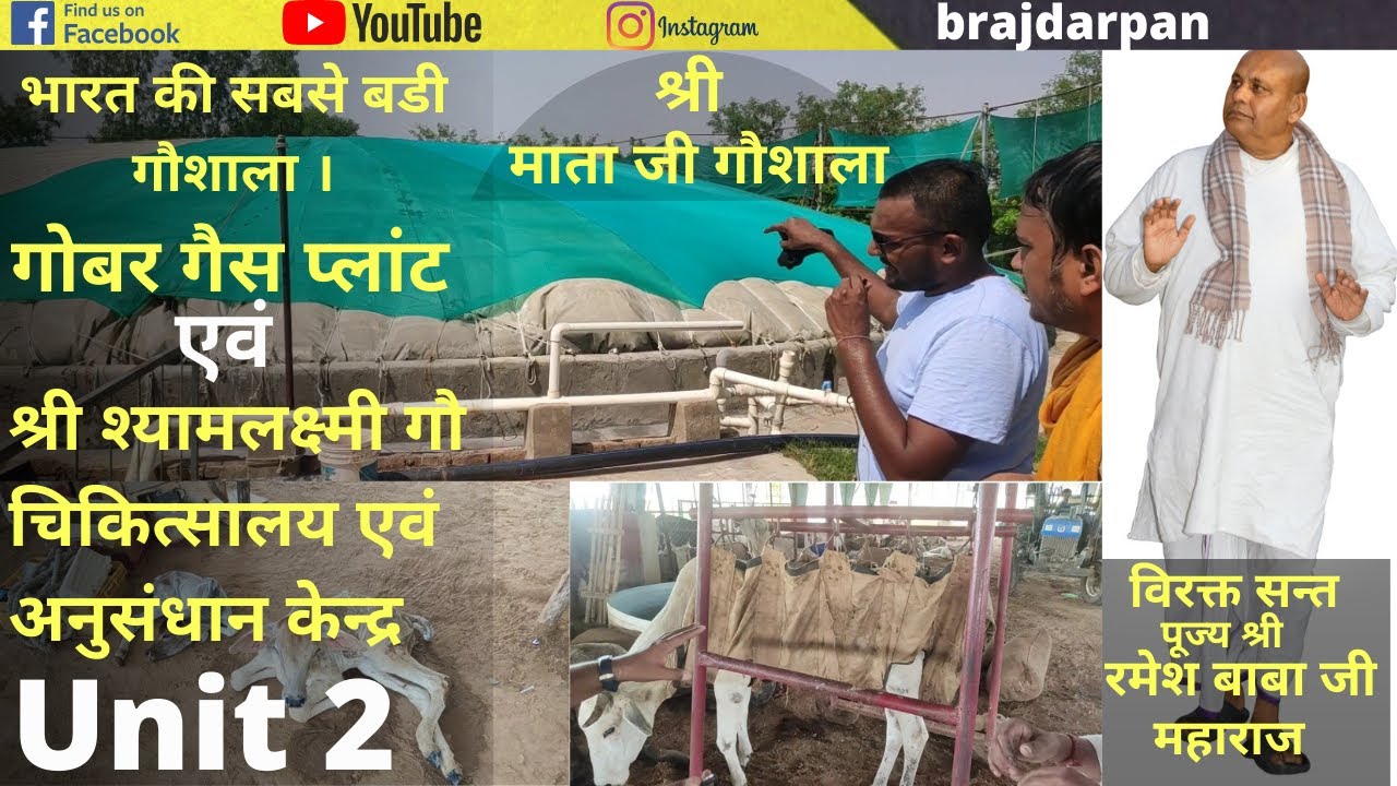 ऐसी गोशाला जहाँ हज़ारों गायों को मिला नया जीवन l Sri mataji gaushala barsana l mataji Goshala ll