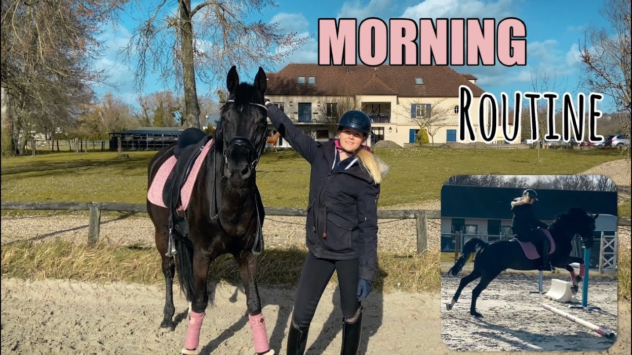 MA MORNING ROUTINE AUX ÉCURIES 🐴