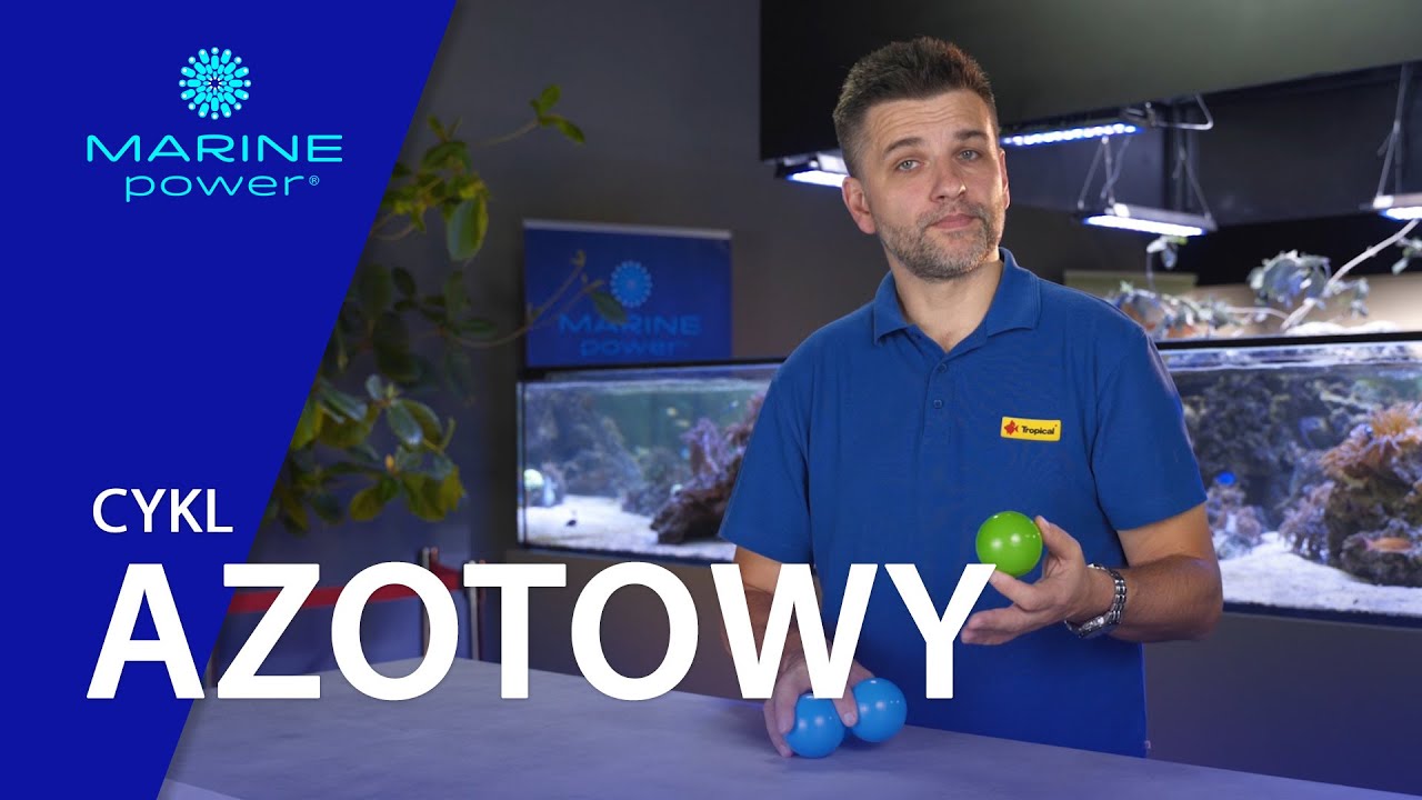 Cykl azotowy w akwarium morskim #11