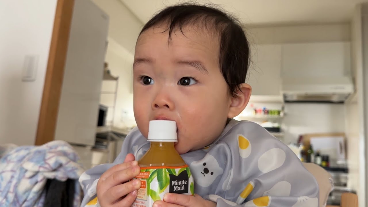 【赤ちゃんvlog｜8ヶ月】1週間ダイジェスト｜生後258〜262日