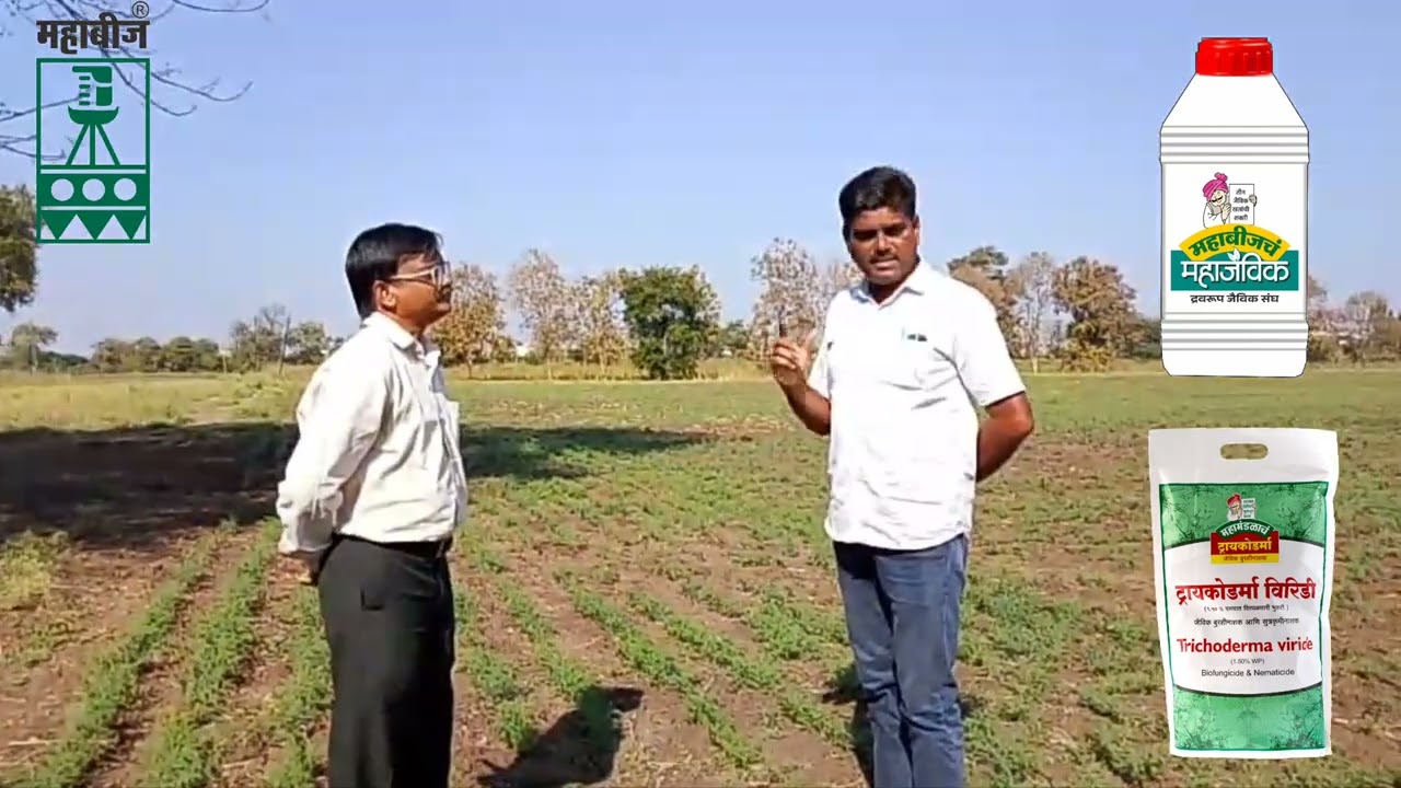 महाबीजच्या जैविक खते आणि ट्रायकोडर्माबाबत मनोगत  Nandu Bhatkar on Bioferilizer & Trichoderma #महाबीज