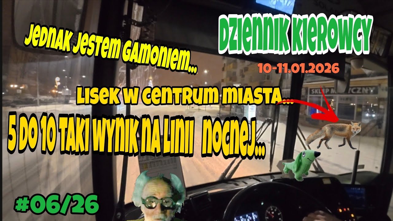 10,11.01.2026 JEDNAK JESTEM GAMONIEM,CO JA NAROBIŁEM !! LISEK W  CENTRUM MIASTA, 5 DO 10 TAKI WYNIK.