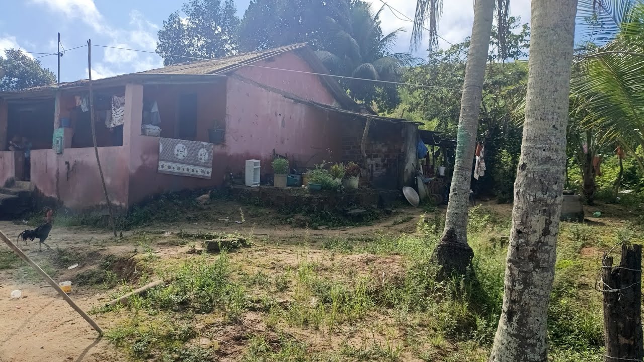 Vende se esse sítio no Engenho Esperança zona rural de Palmares PE  50.000 (081)9 96309085