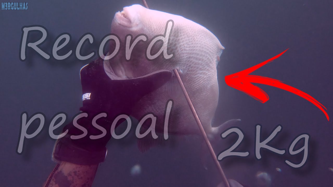 Porcalhada Recorde Pessoal 2kg