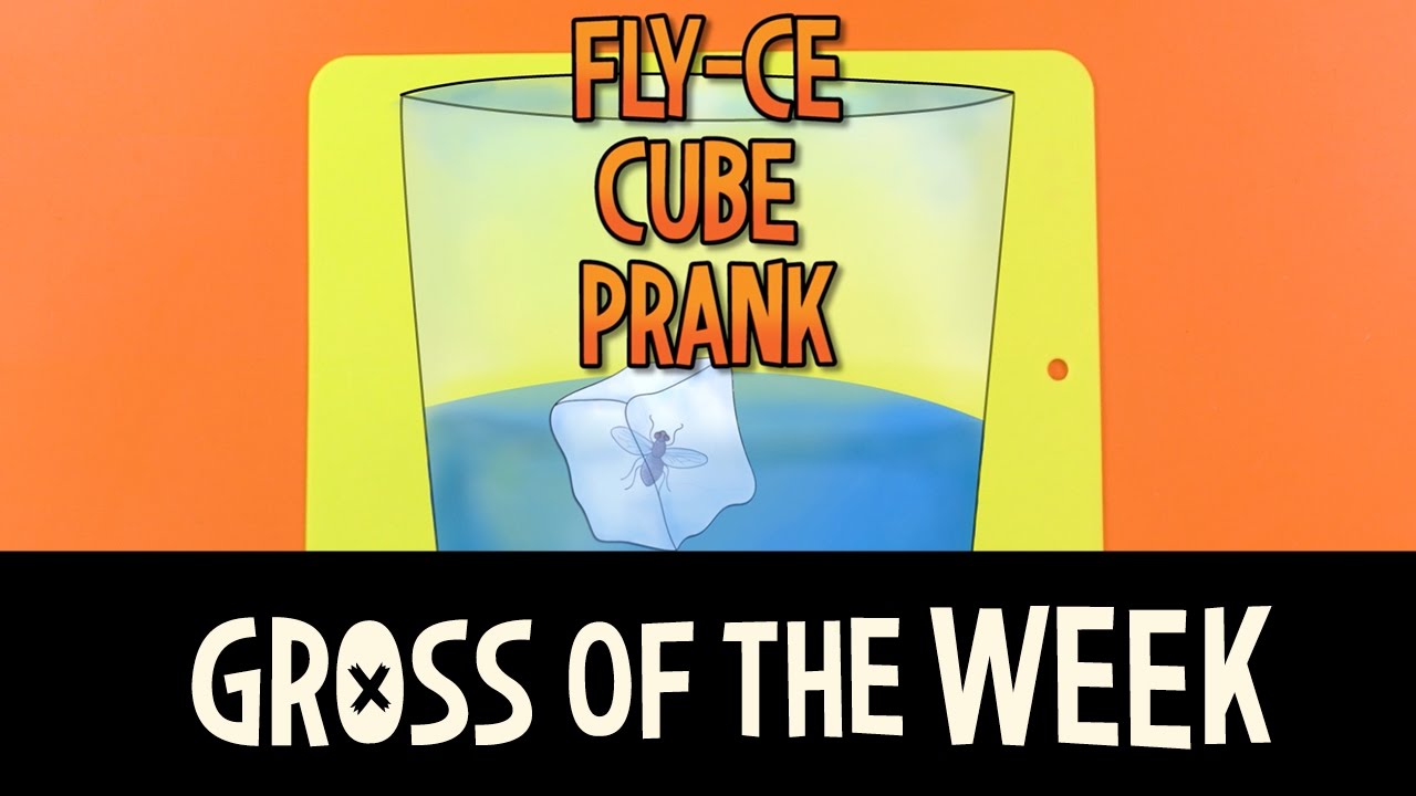 MADBALLS HOW TO ⚫ Fake FLY-FILLED ICE CUBES with Oculus Orbus