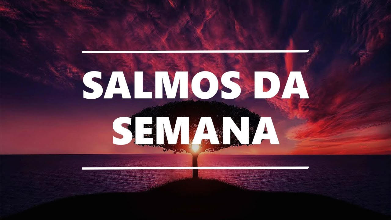 SALMOS DA SEMANA | CONFIE EM DEUS! 🙏