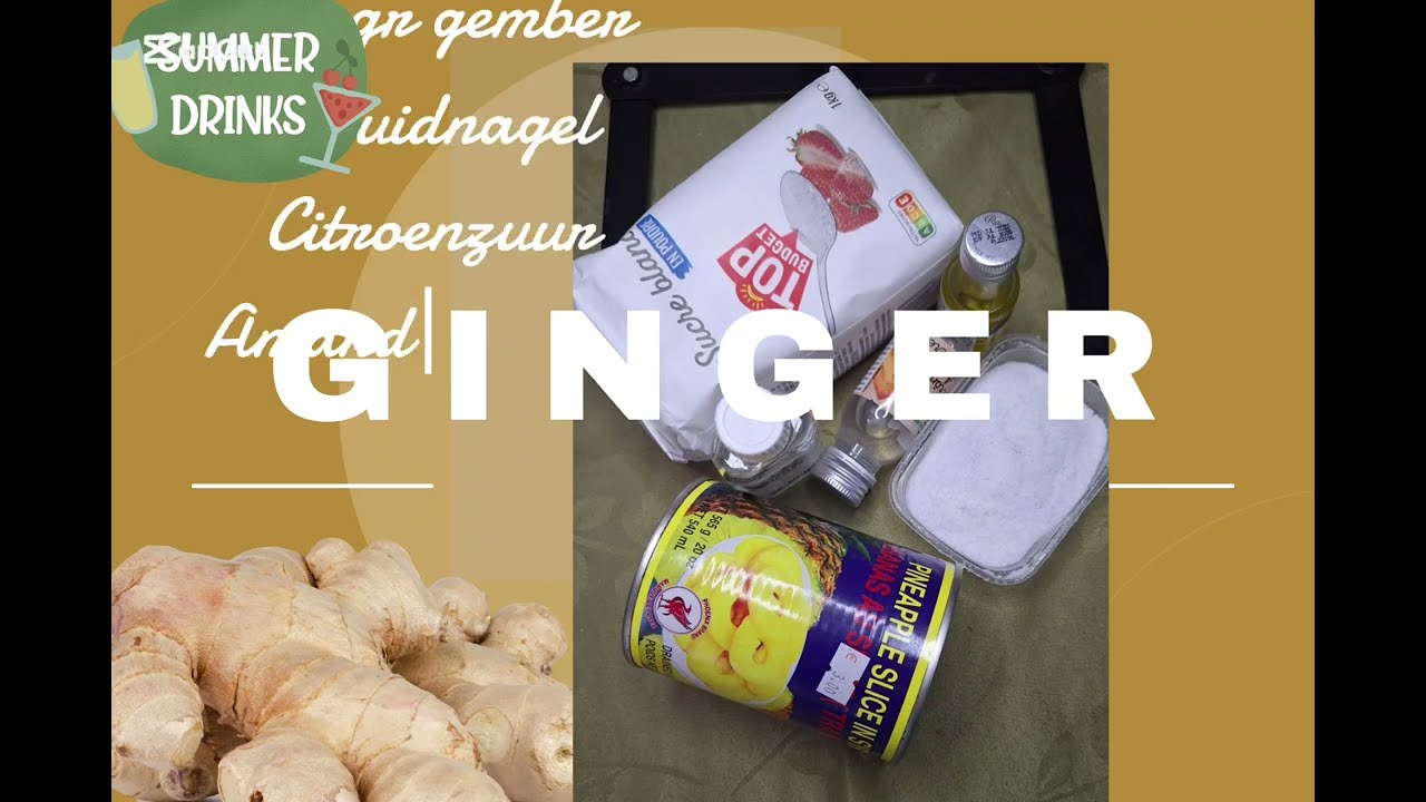 SURINAAMS GEMBERBIER