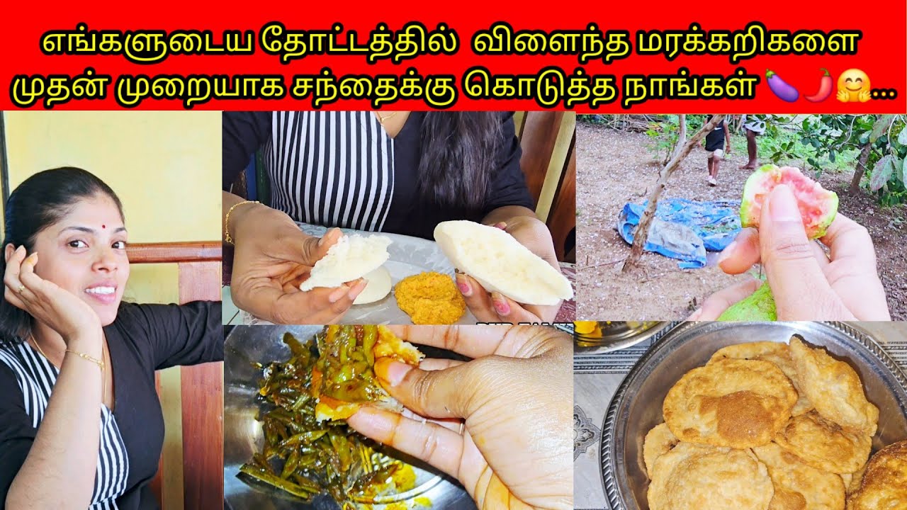 எங்களுடைய தோட்டத்தில்  விளைந்த மரக்கறிகளை முதன் முறையாக சந்தைக்கு கொடுத்த நாங்கள் 🍆🌶🤗../PKR family 