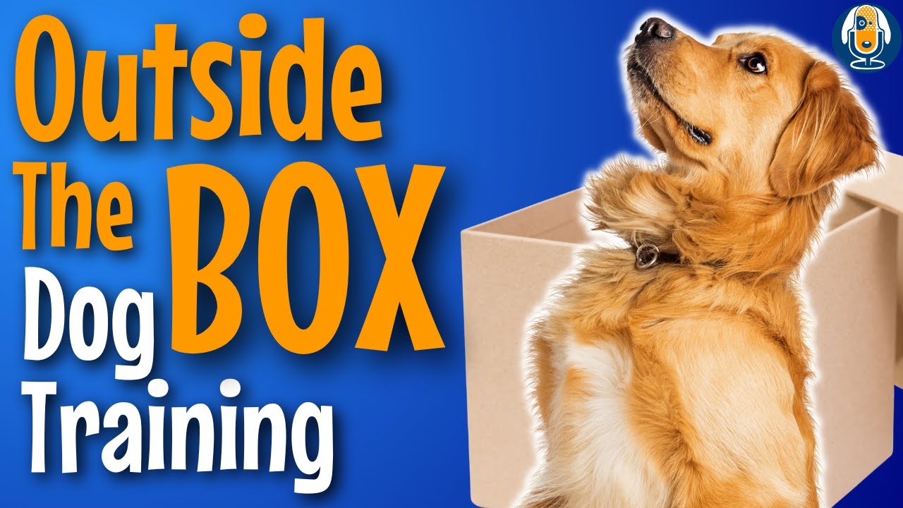 Dog Training Outside The Box: Transfer Of Value Case Study 