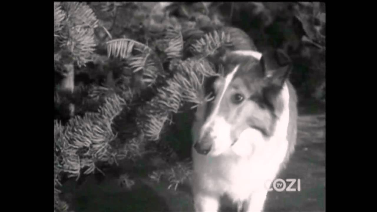 Lassie - Episode #367 - 