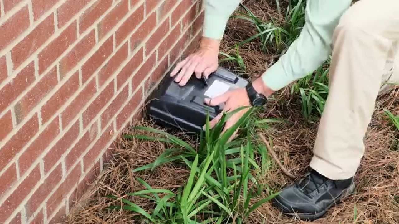 Commercial Pest Services by All-American Pest Control