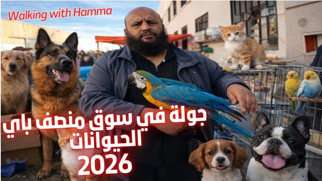 جولة في سوق  منصف باي  الحيوانات  04/4/2026 (  Moncef Bay animal )