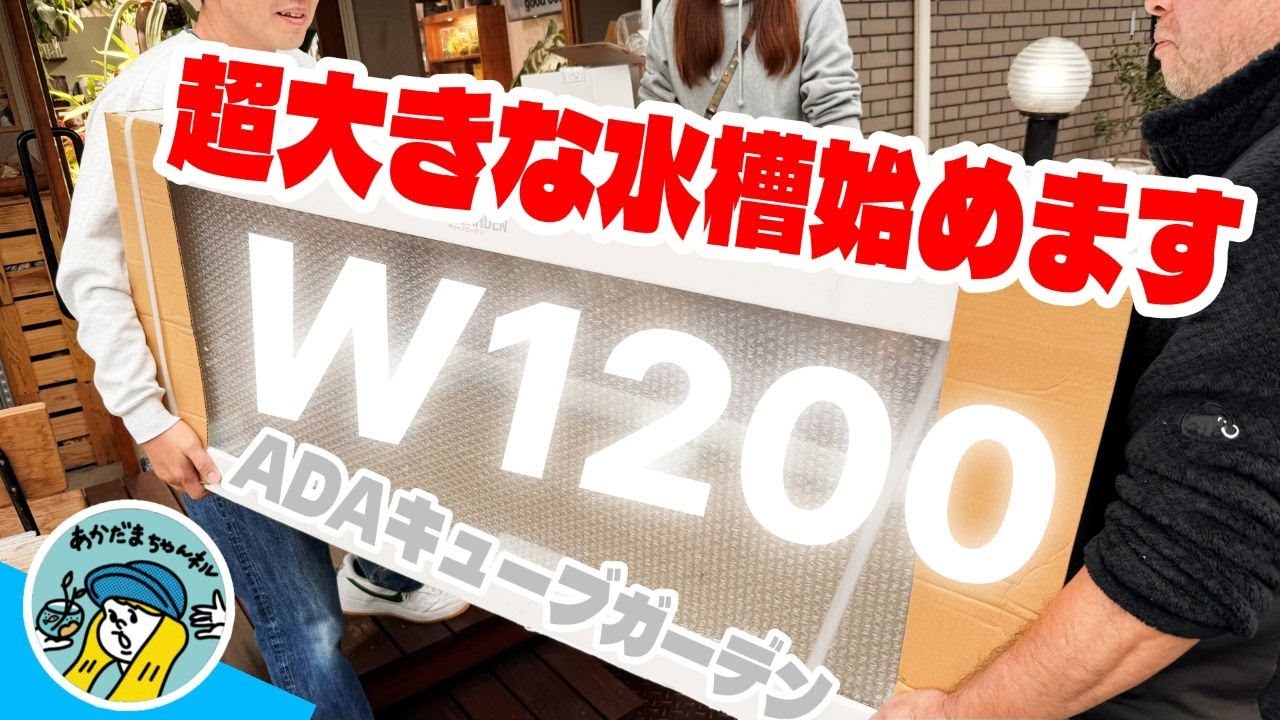 【アクアリウム】アクアリストの夢！超大きな水槽を始めます！ADA120センチキューブガーデン！（ADAフルセットで立ち上げる水草レイアウト水槽）