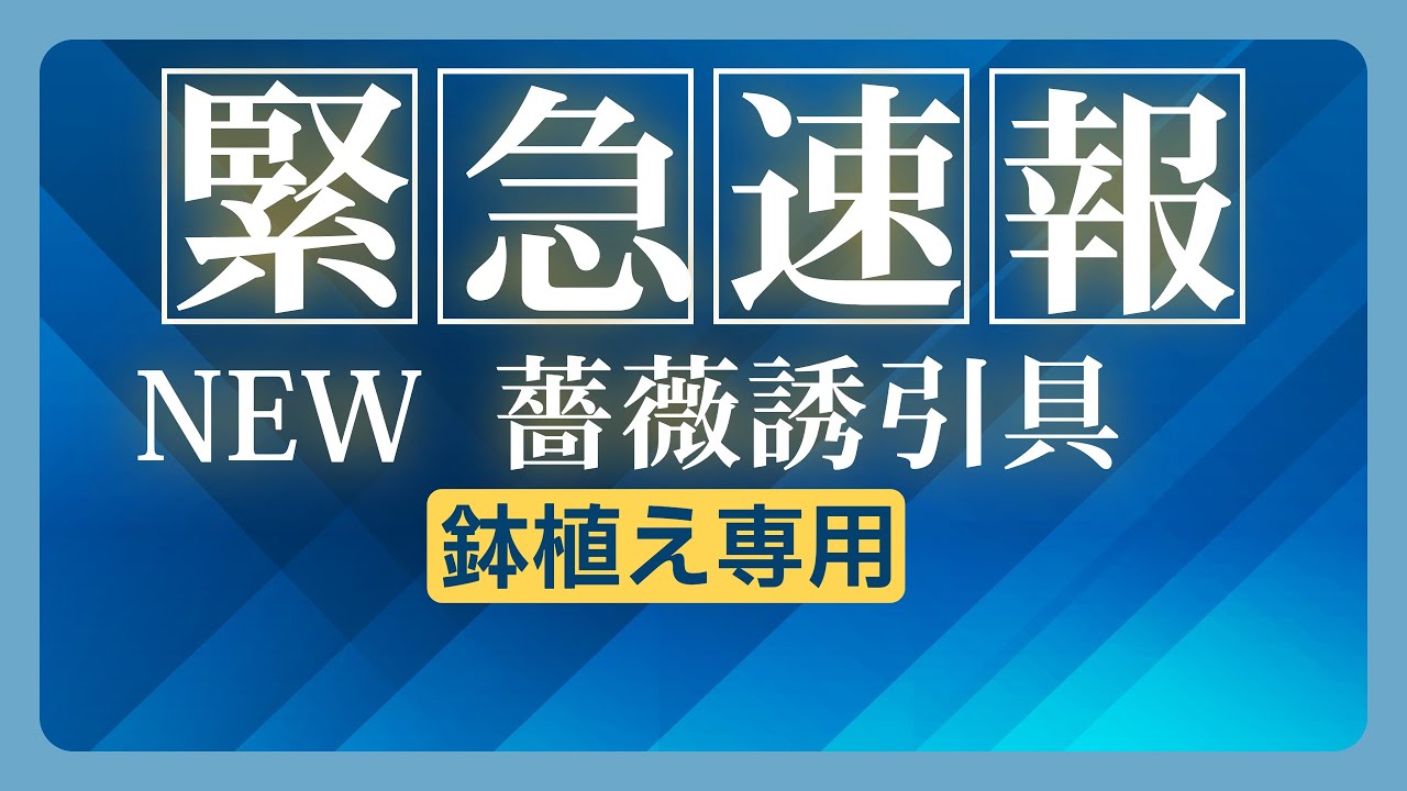 新発明　バラ誘引具