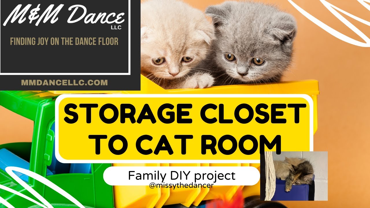We turned our basement closet into a secret cat room! @miandmai #cats #diy #familyproject