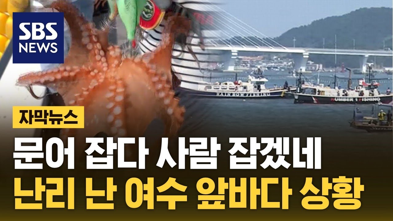 문어 잡다 사람 잡겠네&hellip;여수 앞바다 난리 난 상황 (자막뉴스) / SBS