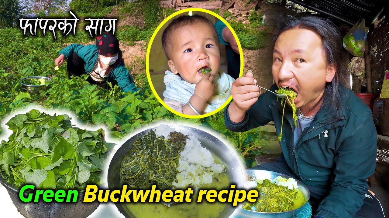 Green Buckwheat Leaves Recipe and Rice in Village Kitchen || Phapar saag Recipe Cooking and Eating