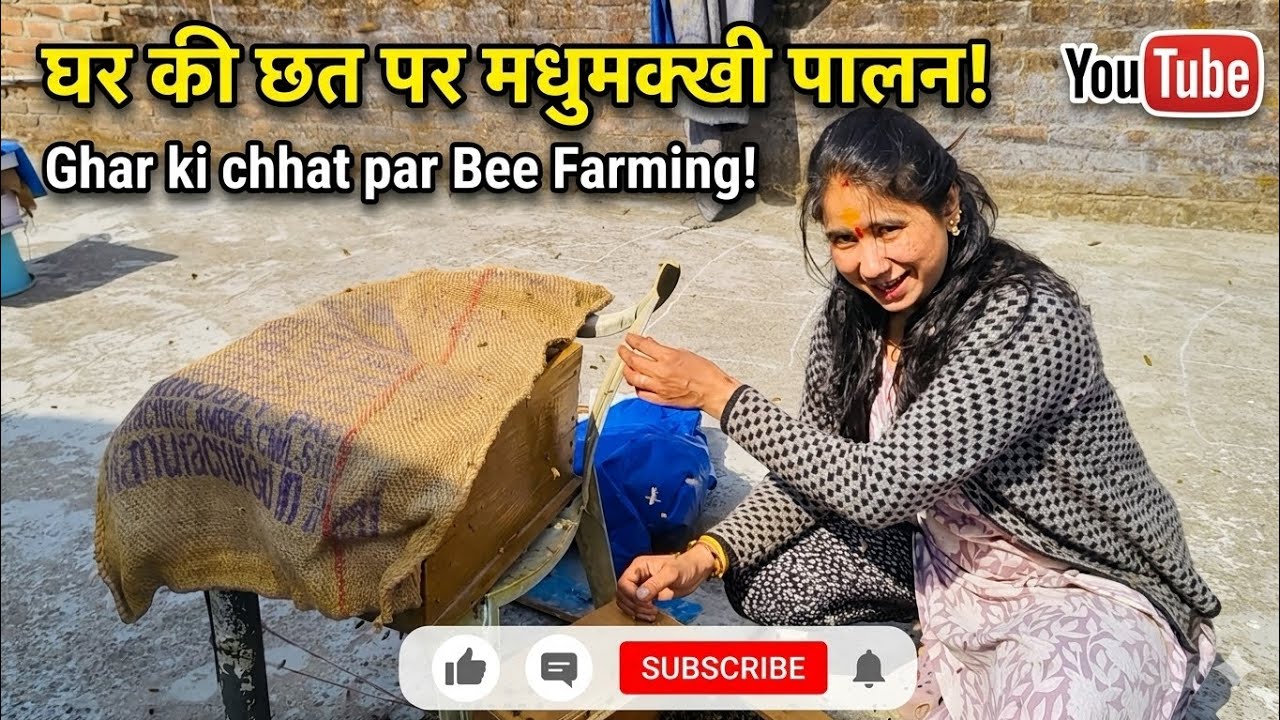 Madhumakhiyon ko box me  trasfer kare 🥀🐝🥀, 🏠🐝@kedarbeekeeping 