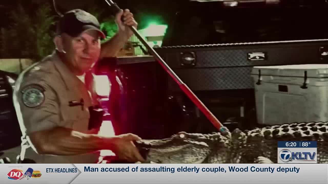 &lsquo;Grumpy&rsquo; 9-foot alligator removed from downtown Gladewater