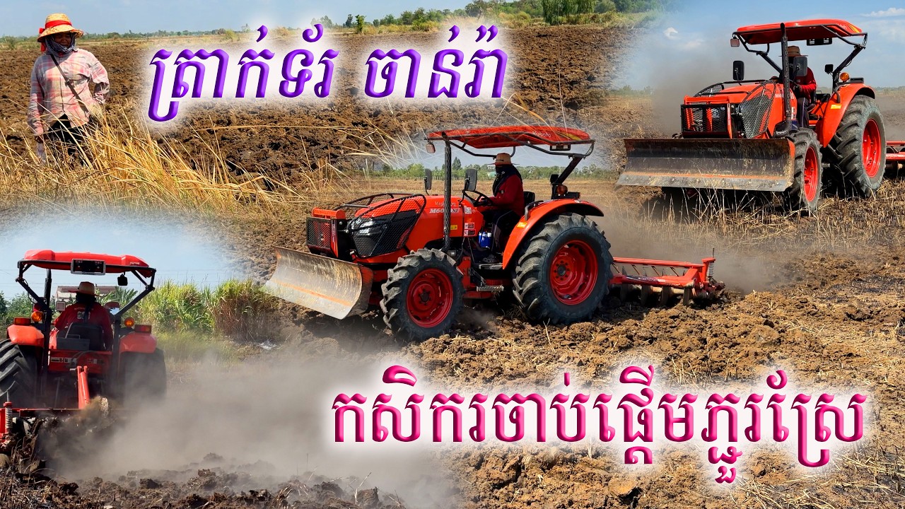 ក្រោយពីភ្លៀងធ្លាក់បានមួយមេ ពេលនេះប្រជាកសិករចាប់ផ្តើមភ្ជួរដីស្រែហើយ