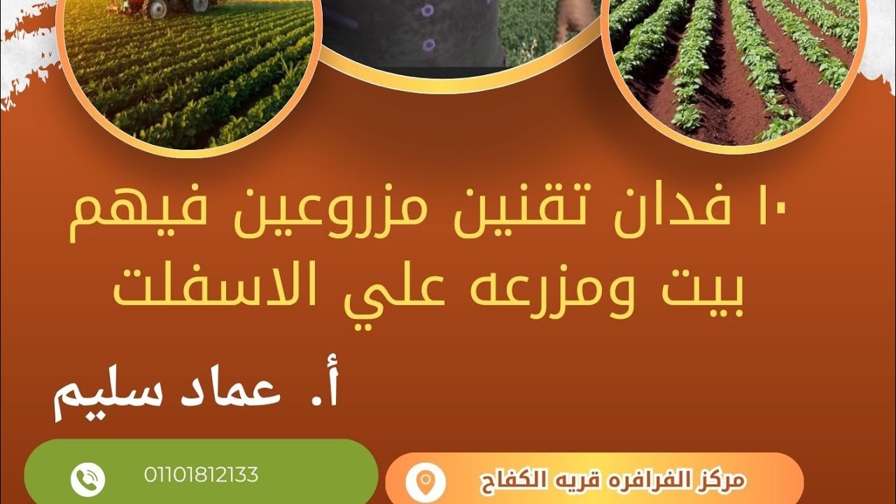 ١٠ فدان تقنين مزروعين بالكامل فيهم برسيم حجازي وبيت ودوار وبجوار الاسفلت والسعر مفاجاه بالفرافره 