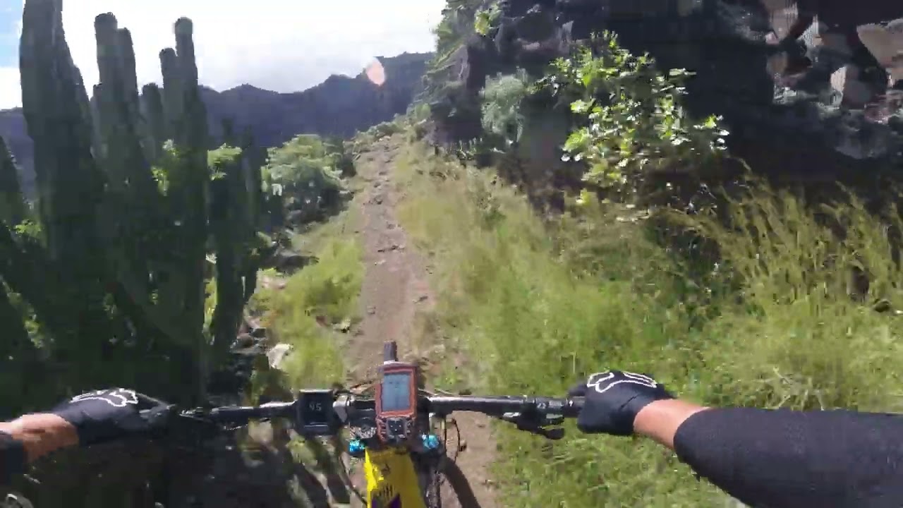 LaPalma - El Tablado 2022 1