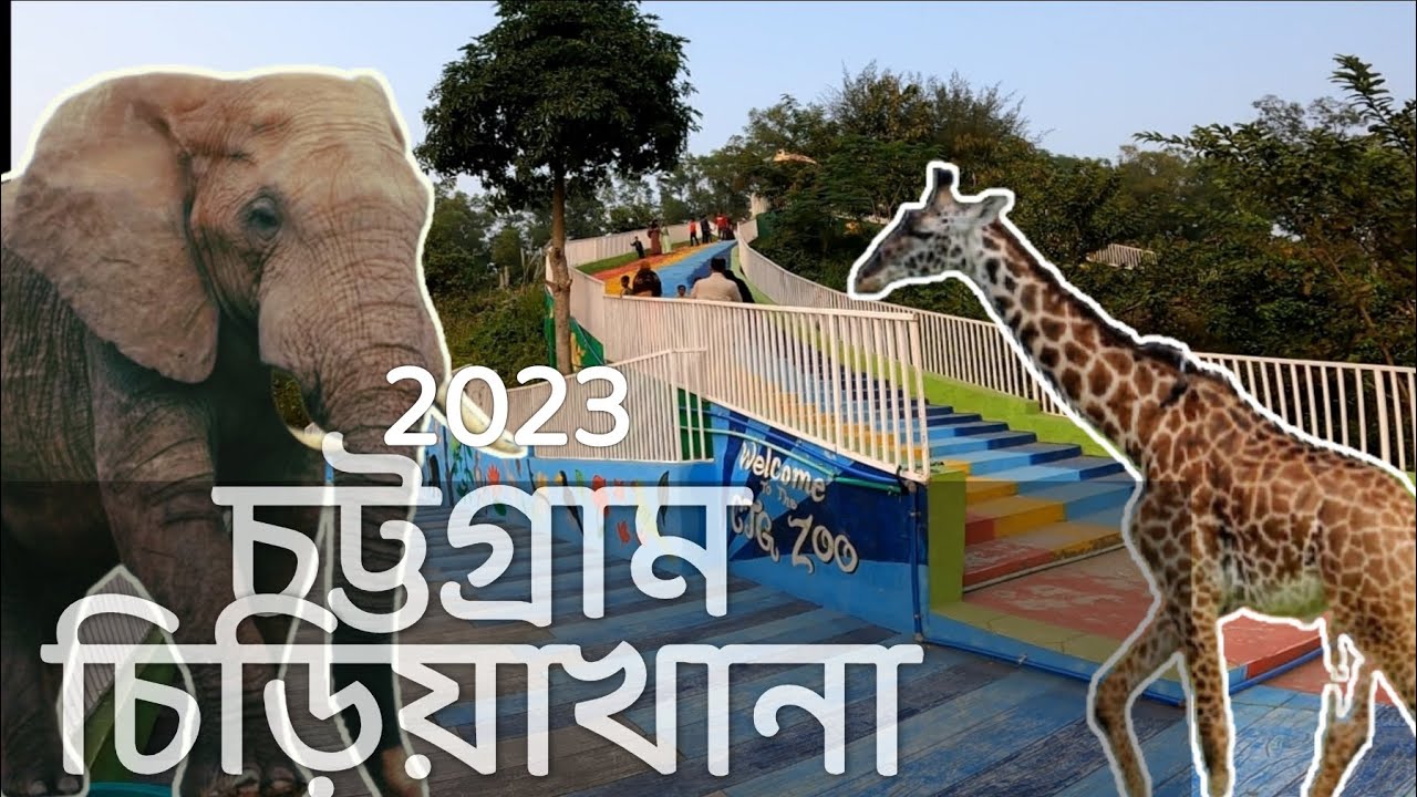 চট্টগ্রাম চিড়িয়াখানা নতুন রূপে | chattagram zoo 2023 | New Look on chattagram zoo | New Blog video