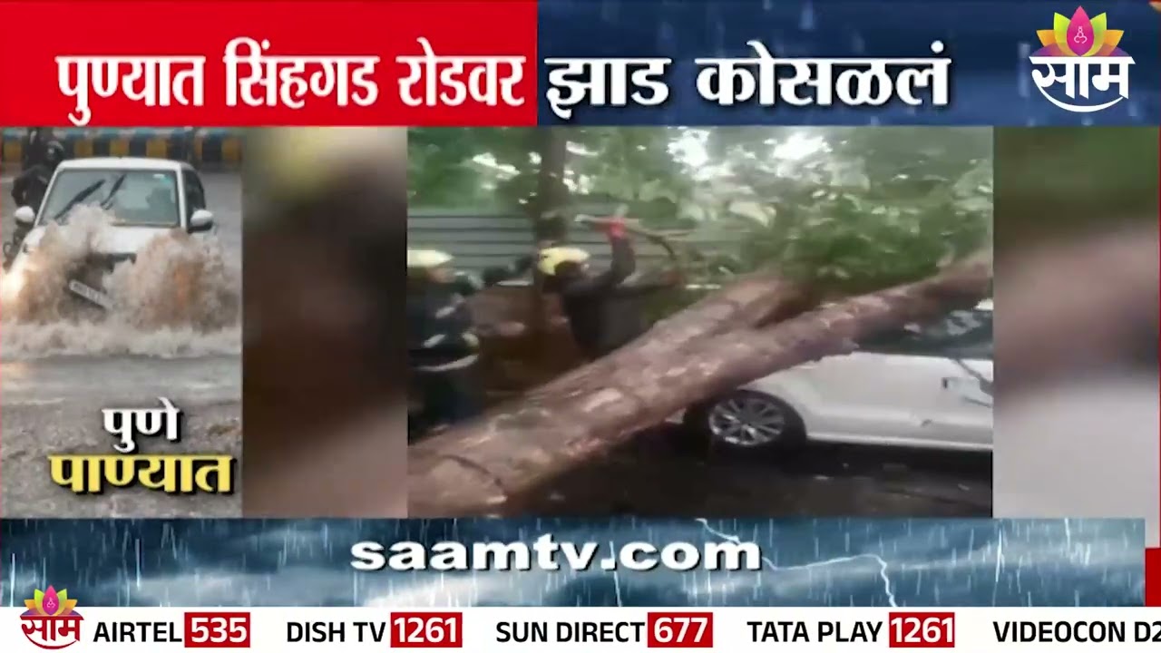 पुण्यात सिंहगड रोडवर झाड कोसळलं | Pune News